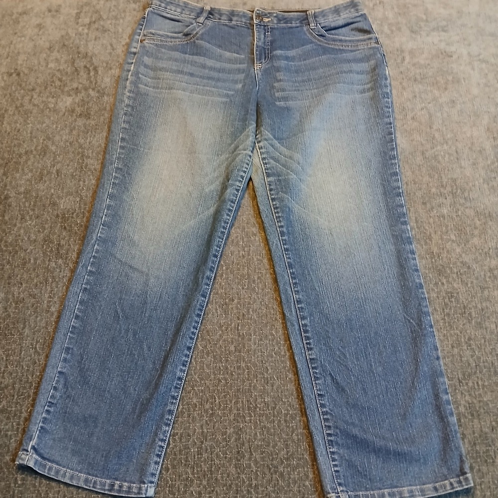 Cato Premium Women Blue Straight Leg Jeans Petite Size 16P Medium Wash Denim